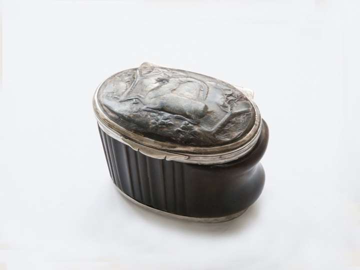 Salzburg Ibex box with silver mountings